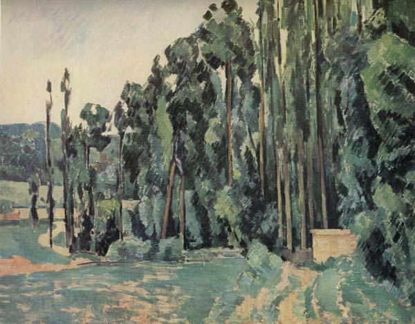 Paul Cezanne The Poplars Spain oil painting art